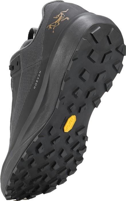Norvan LD 4 GTX - Womens - black / black 1