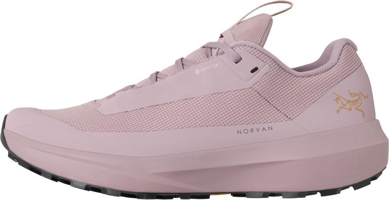Norvan LD 4 GTX - Womens - dark alpine rose / dark alpine rose 1