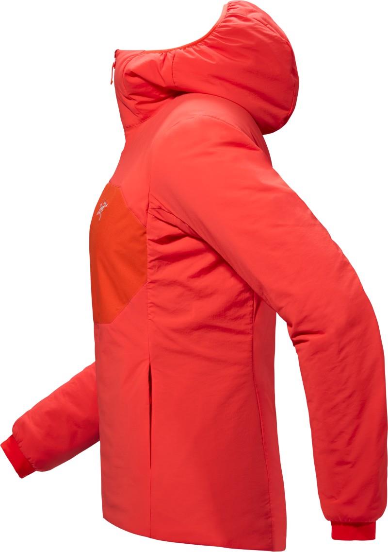 Proton Hoody - Womens - dynasty 1