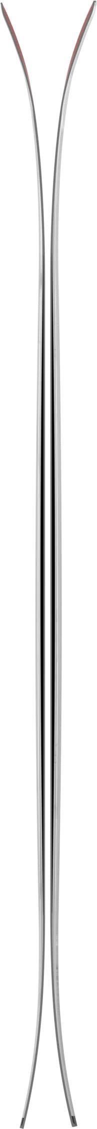 Backland 109 Skis - bright silver / black 1
