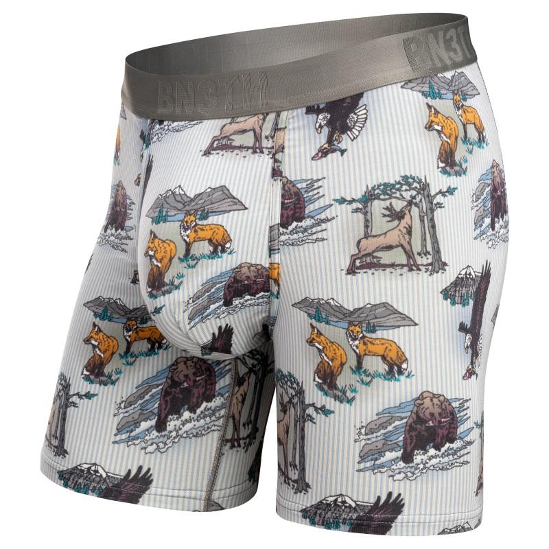 Essentials Boxer Briefs, Print - Mens - national parks / stripe 1