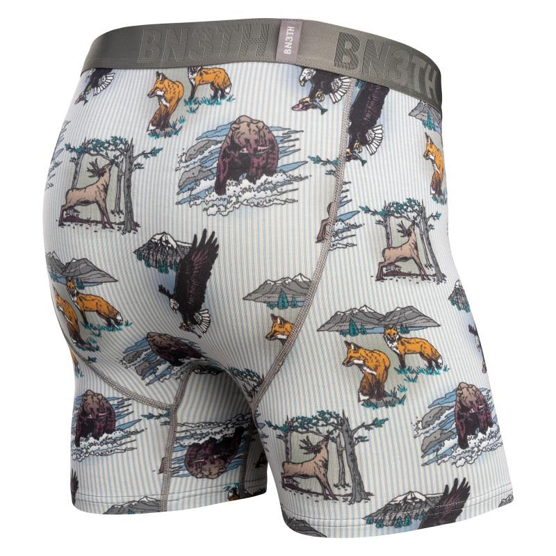 Essentials Boxer Briefs, Print - Mens - national parks / stripe 1