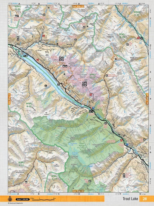 Trout Lake Topo Map - Not Applicable 1