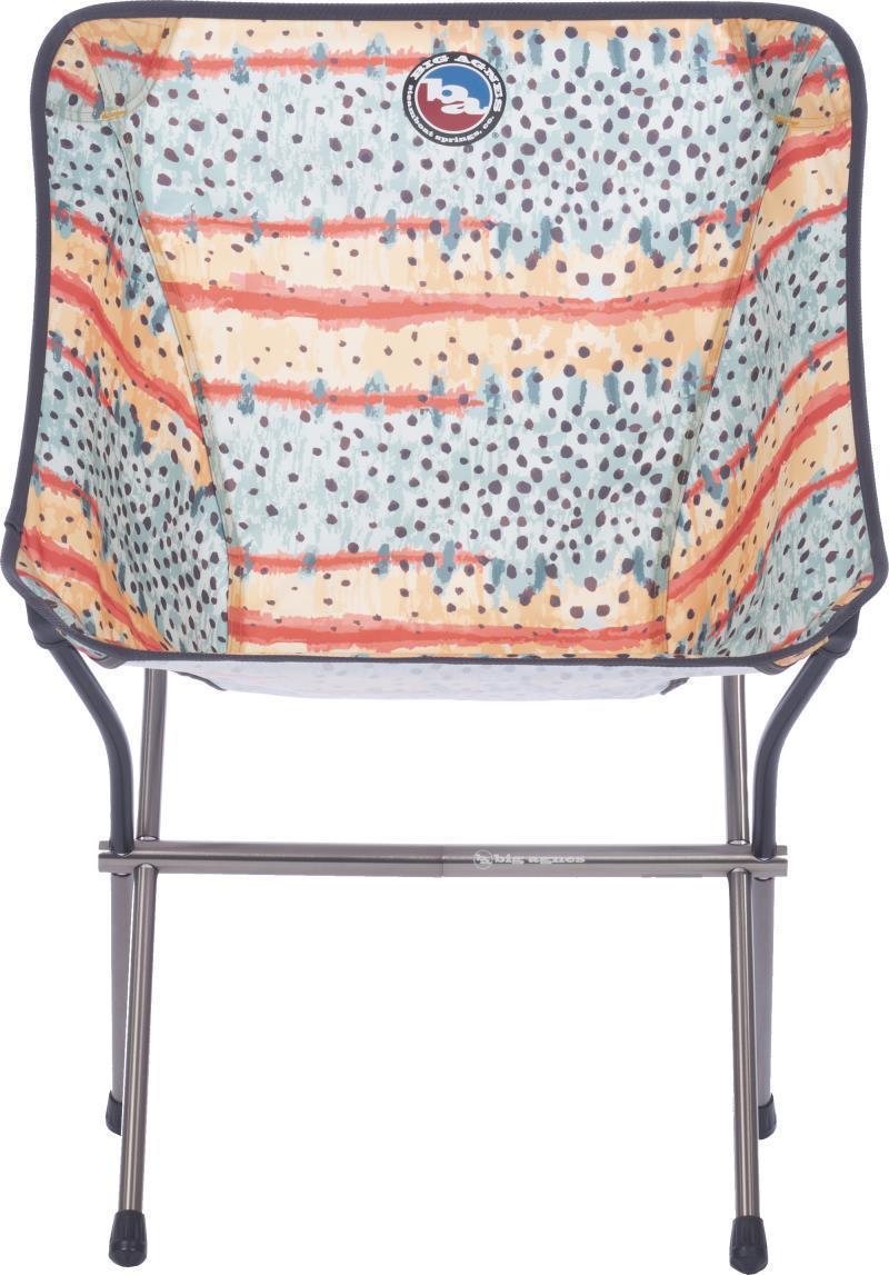 Mica Basin Camp Chair XL - Greenback 2