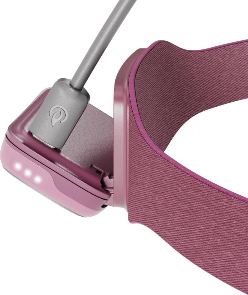 Range 300 - 300 Lumens - wild fig 1