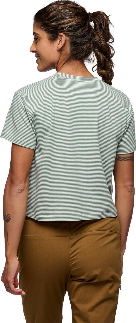 BD Stripe Crop SS Tee - Womens - Foam Green / Laurel Green 3