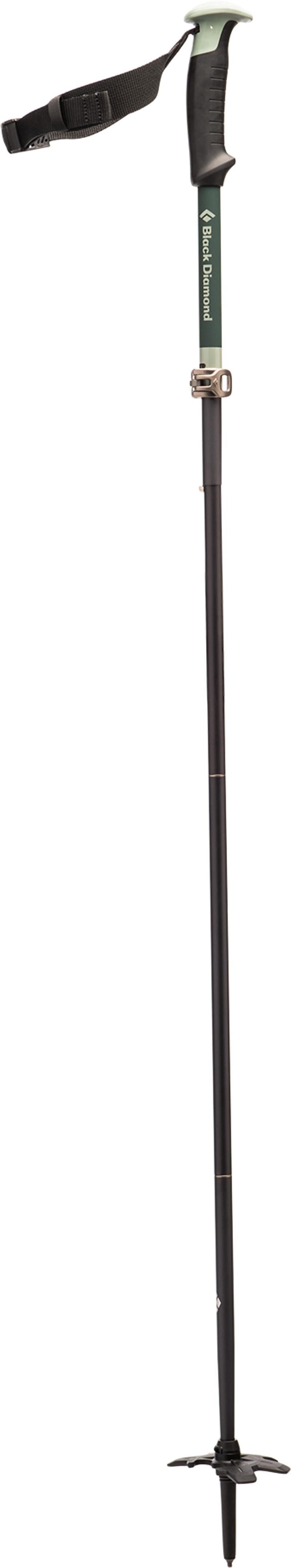 Compactor Ski Poles - Not Applicable 1