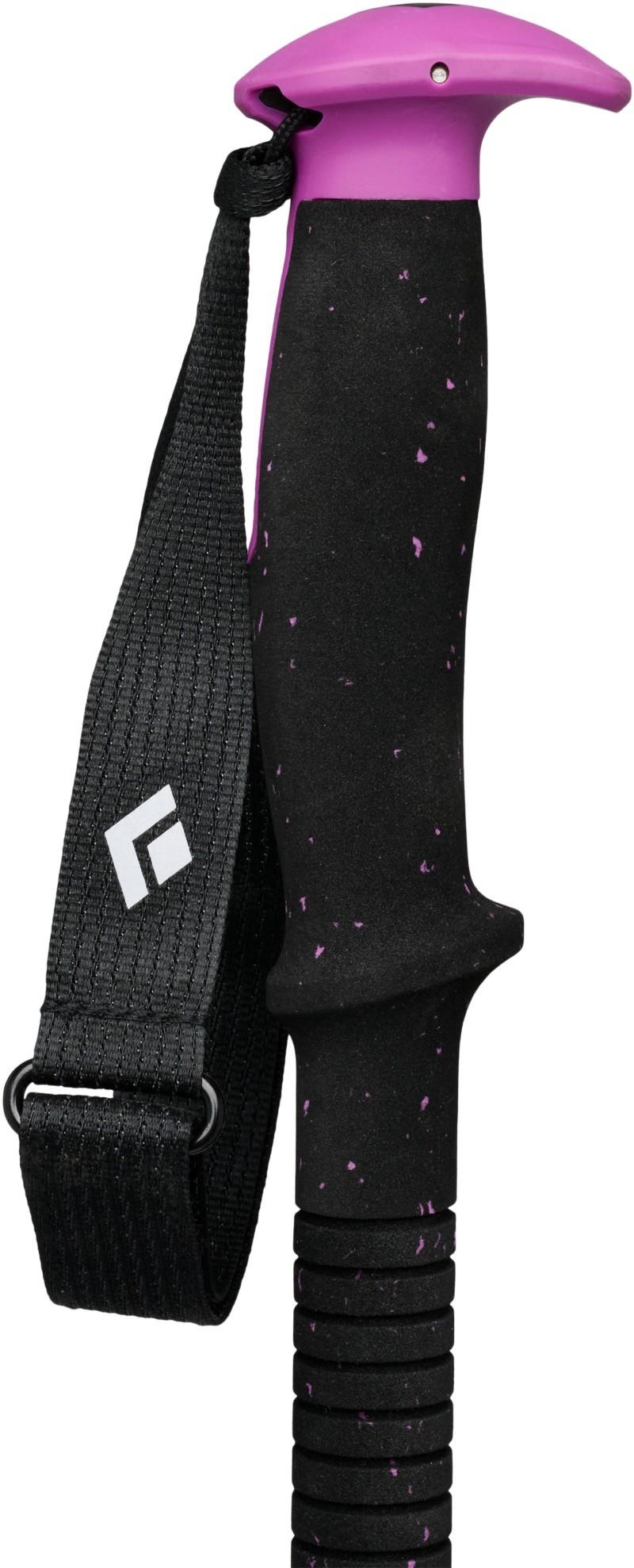 Expedition Ski Poles - piton purple 1
