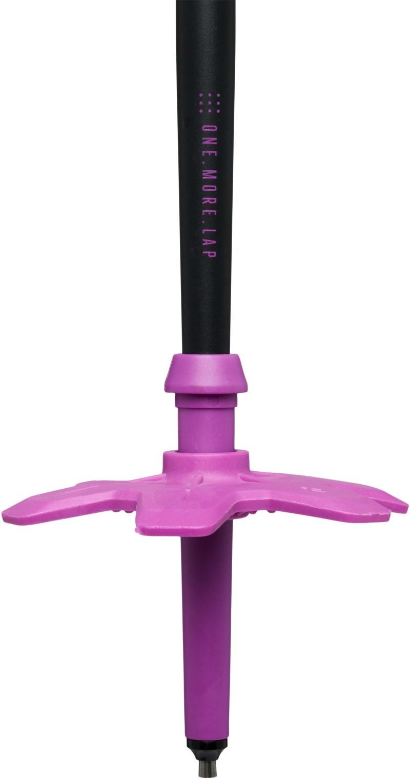 Expedition Ski Poles - piton purple 1