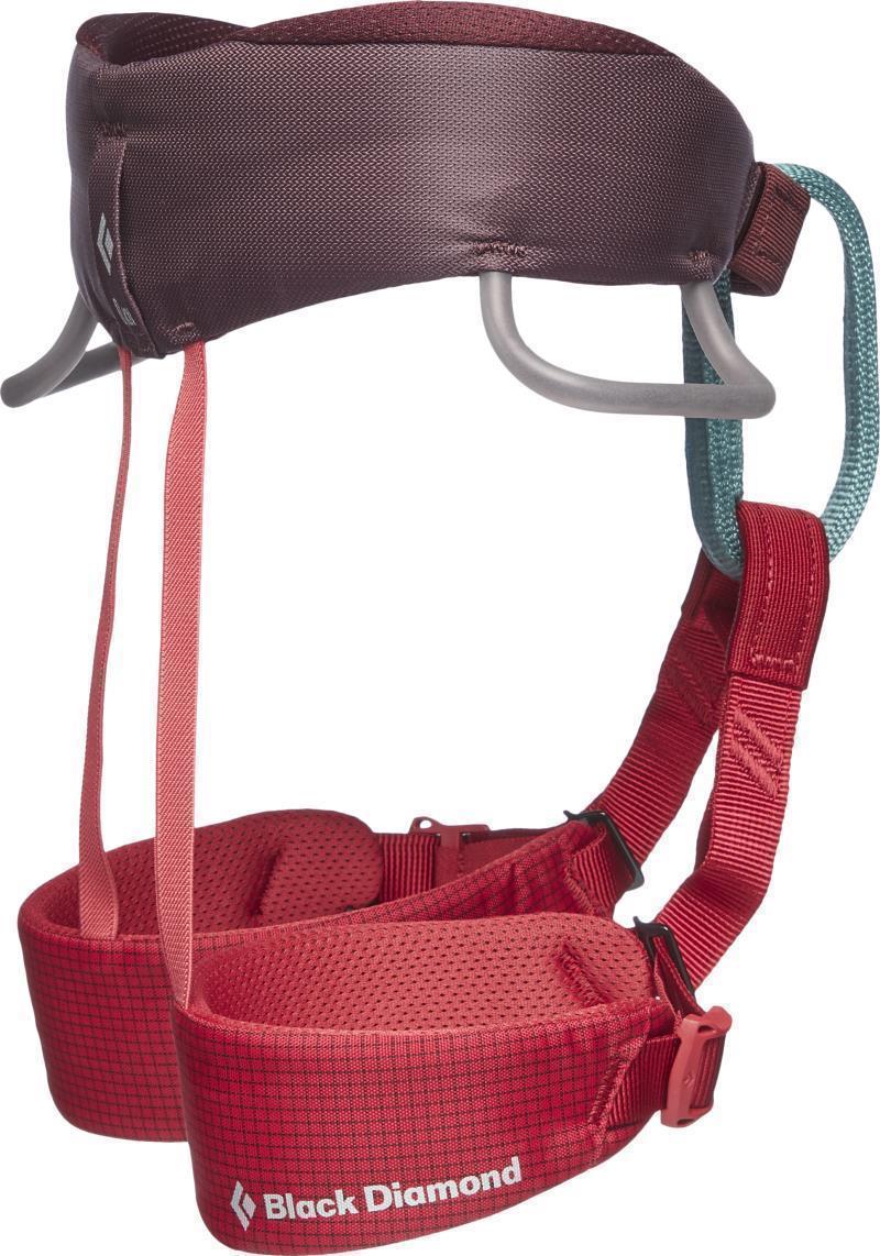 Momentum Harness - Kids - Wild Rose 2