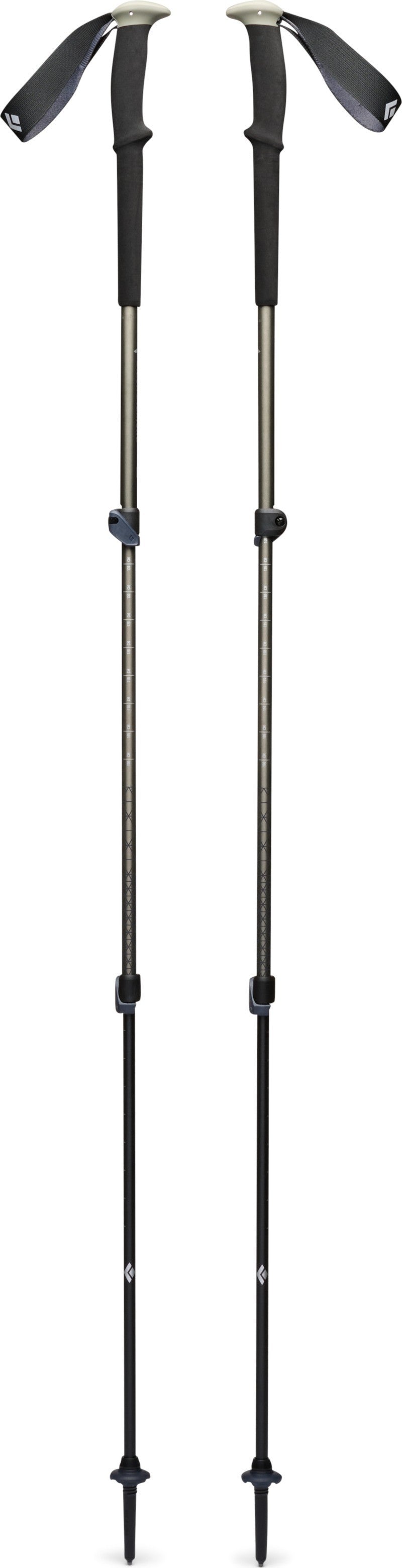 Trail Trekking Poles - pine smoke 1