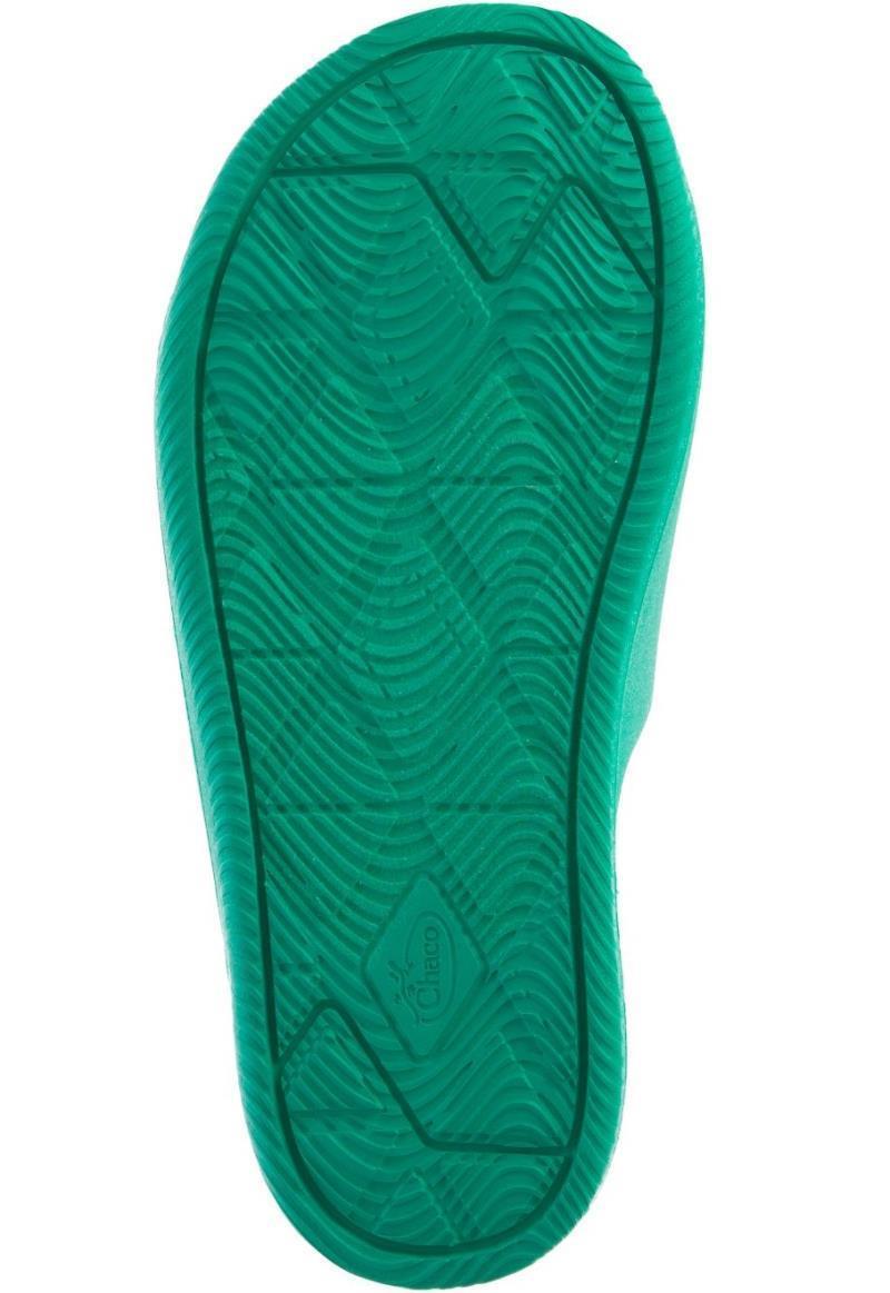 Chillos - Kids - teal 1