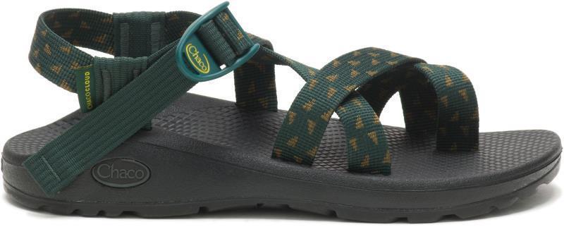 Z/Cloud 2 - Womens - streamer scarab 1
