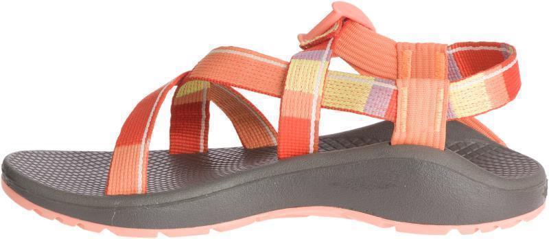 Z/Cloud - Womens - Topline Tiger 2