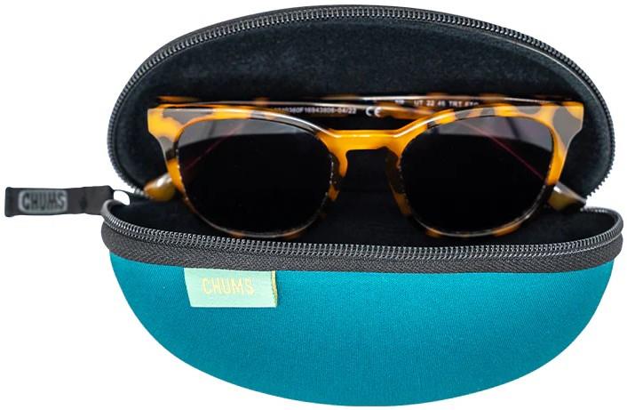 Transporter Glass Case - teal 1