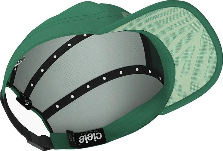 ALZCap SC - Standard Stripes - tucker 1