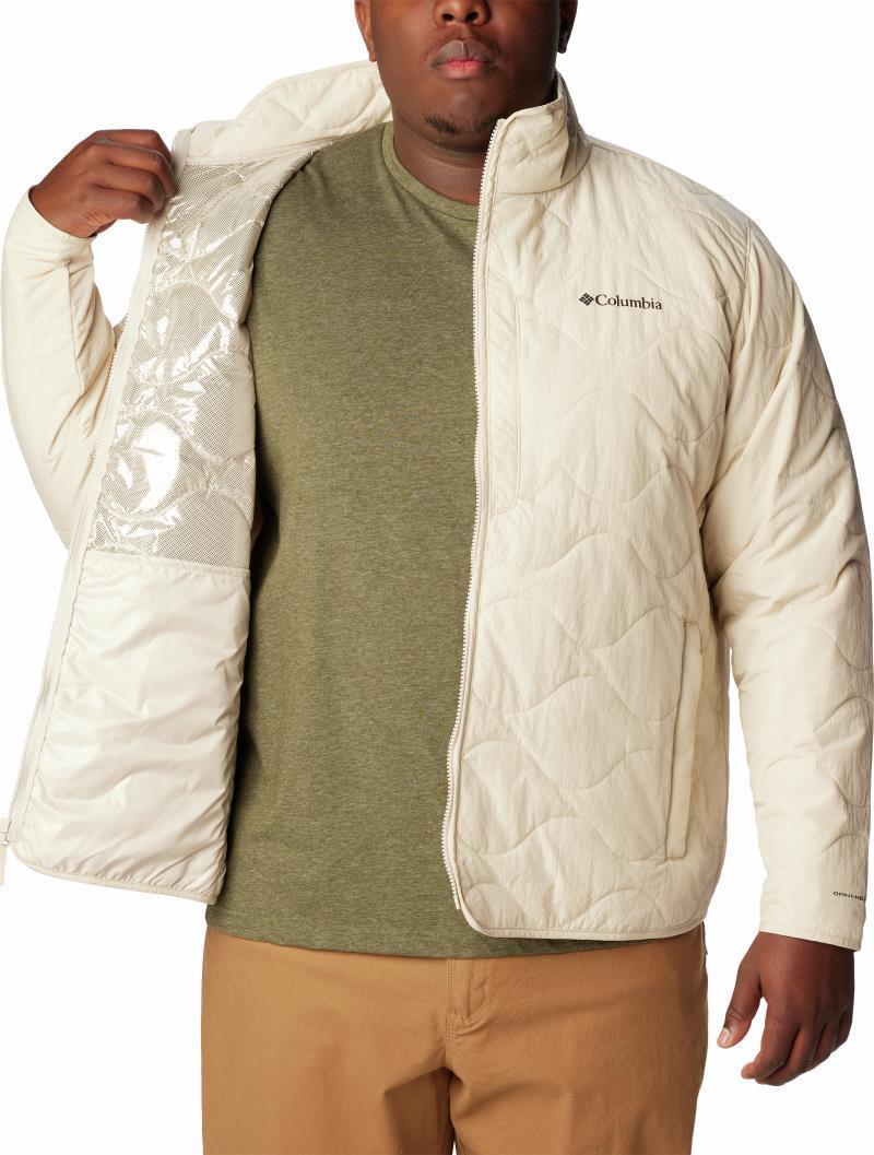 Birchwood Jacket - Big - Mens - Dark Stone 3