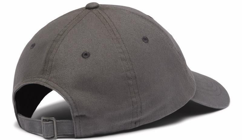 Columbia Logo Dad Cap - city grey 1