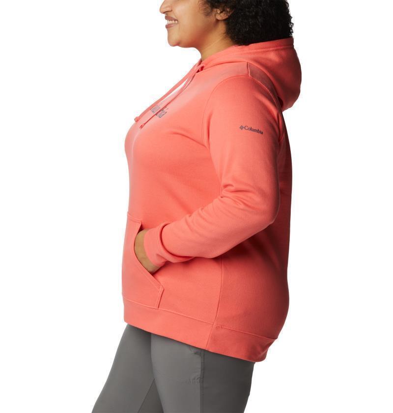 Columbia Trek Graphic Hoodie, Extended - Womens - blush pink / gem columbia 1