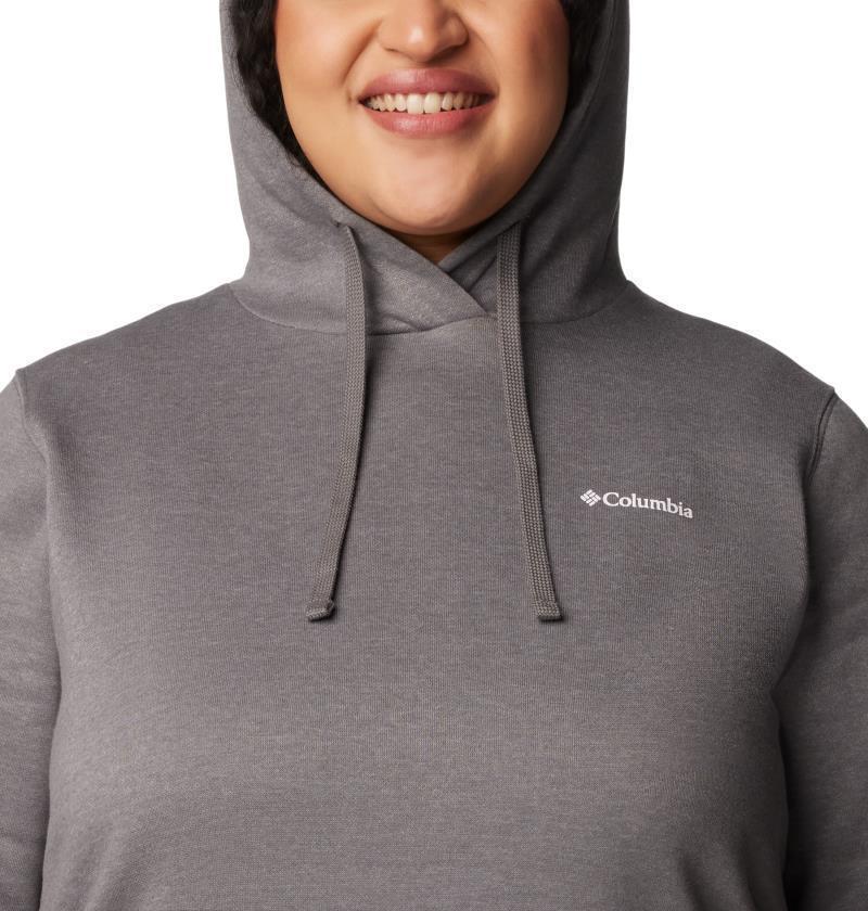 Columbia Trek Graphic Hoodie, Extended - Womens - city grey heather 1