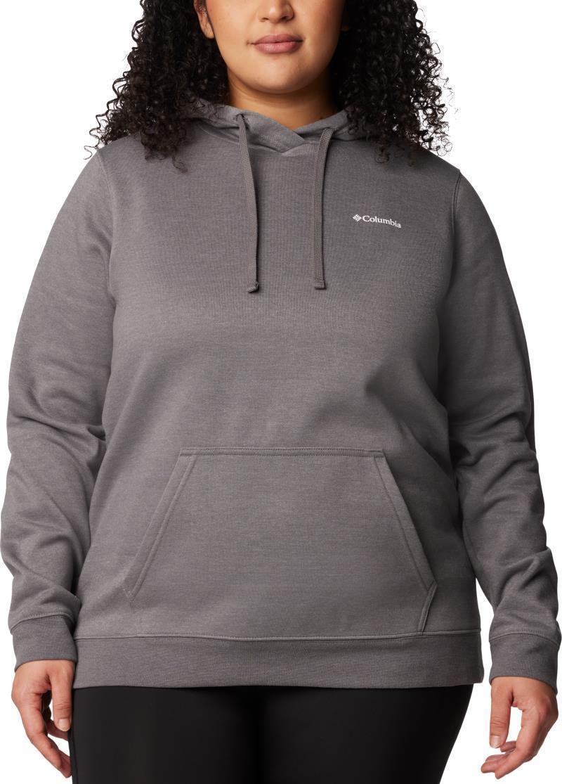 Columbia Trek Graphic Hoodie, Extended - Womens - city grey heather 1