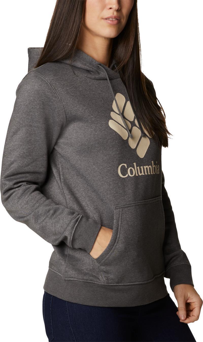 Columbia Trek Graphic Hoodie - Womens - charcoal heather / stacked gem 1