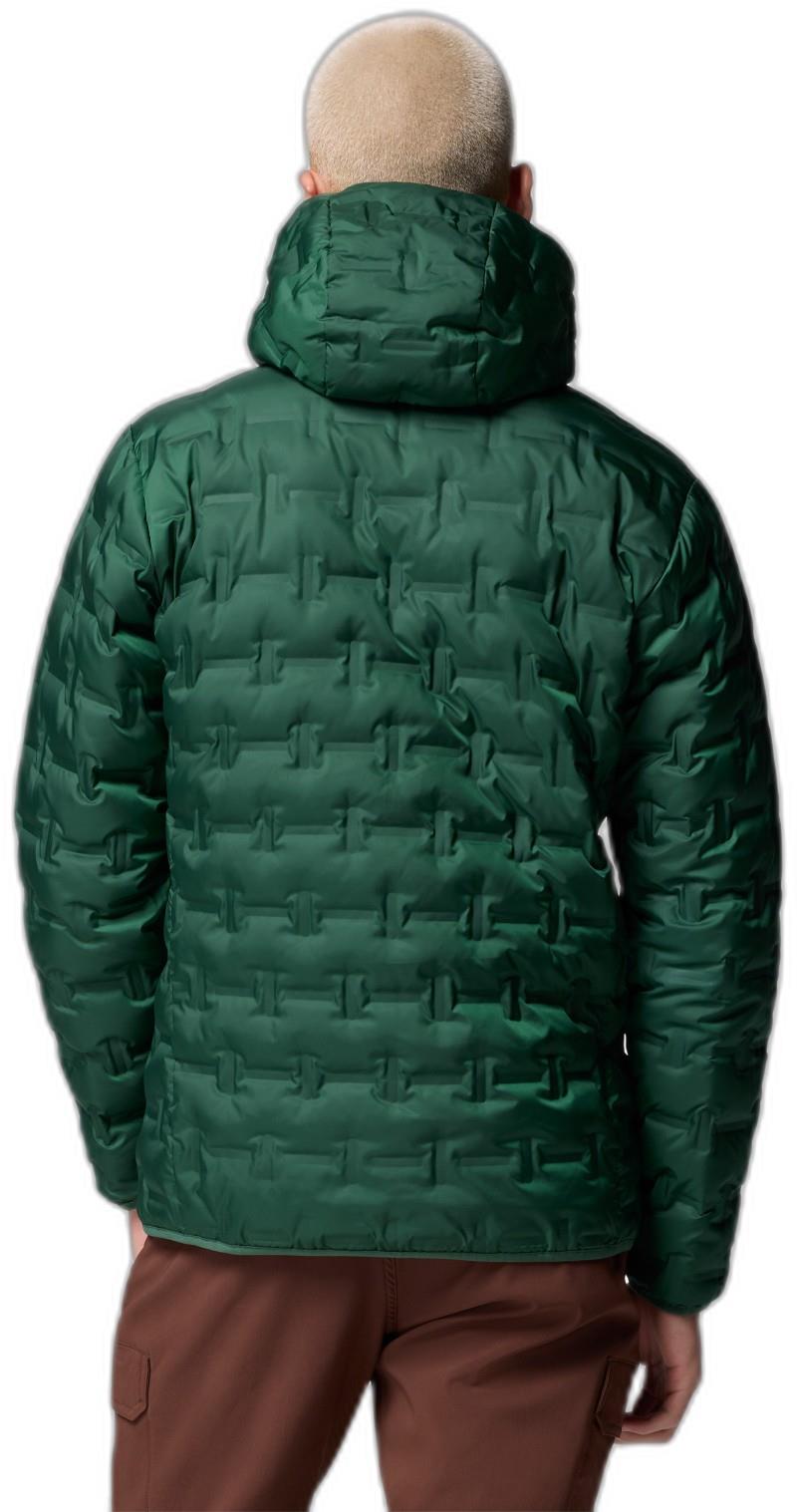 Delta Ridge II Down Hooded Jacket - Mens - rain forest 1