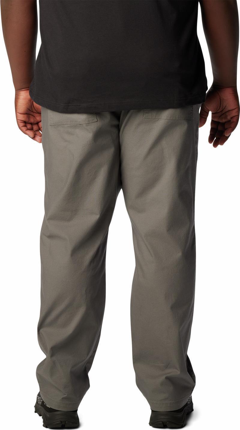 Flex ROC Utility Pants, 30" Inseam - Big - Mens - City Grey 2