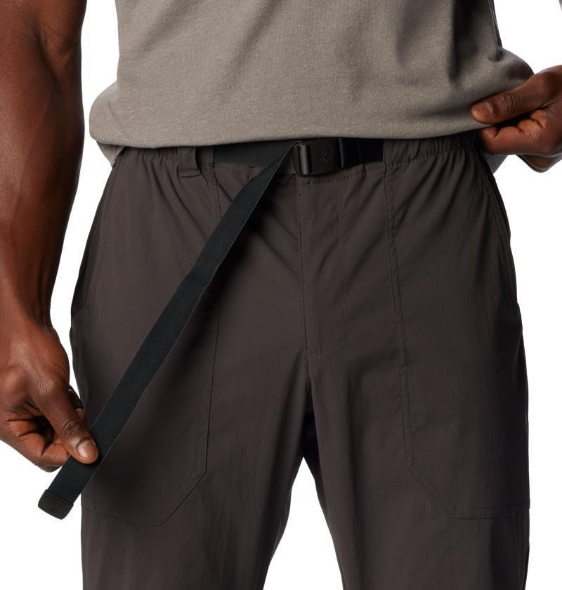 Landroamer Ripstop Pants, 34" Inseam - Mens - Shark 4