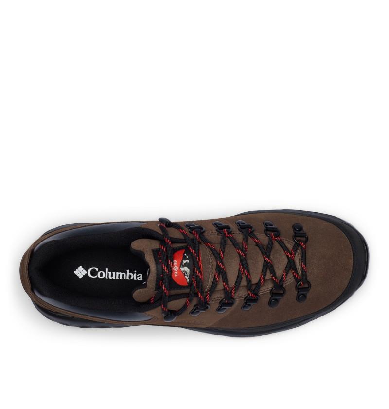 Newton Alpine Low - Mens - cordovan / fiery red 1
