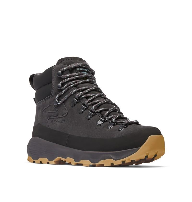Newton Alpine Pt - Mens - shark / titanium 1