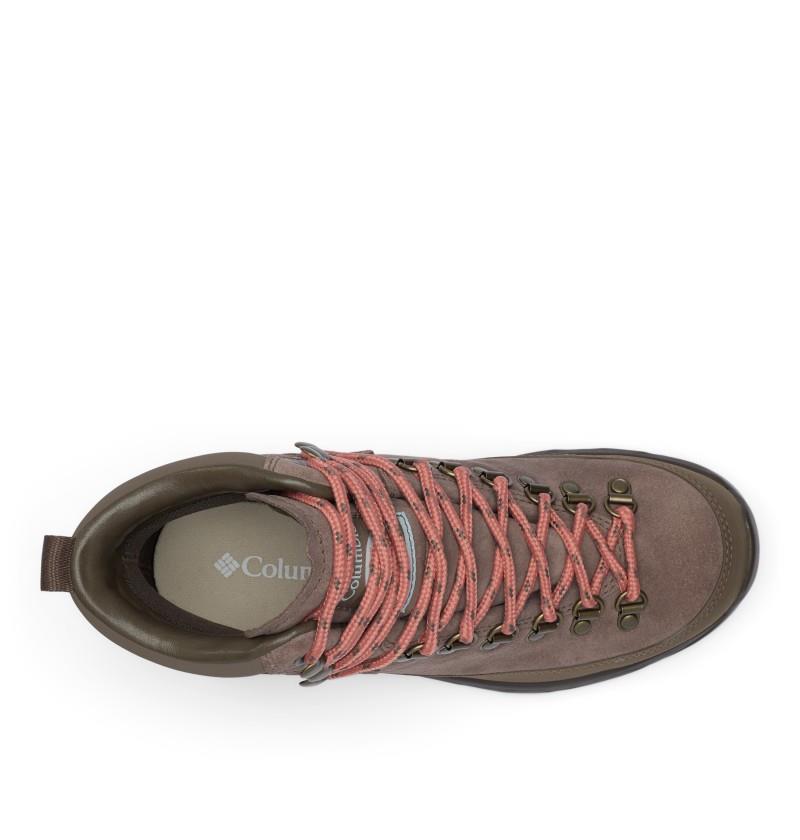 Newton Alpine Pt - Womens - iron / cedar blush 1