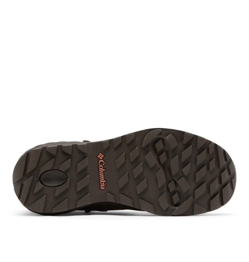 Newton Alpine Pt - Womens - iron / cedar blush 1