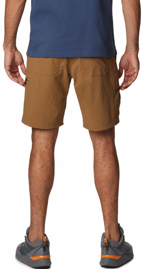 Newton Ridge II Shorts, 9" Inseam - Mens - Delta 2