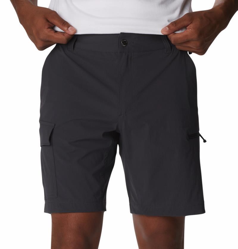 Newton Ridge II Shorts, 9" Inseam - Mens - Shark 3