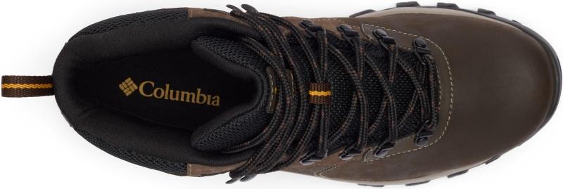 Newton Ridge Plus II Waterproof - Mens - cordovan / squash 1