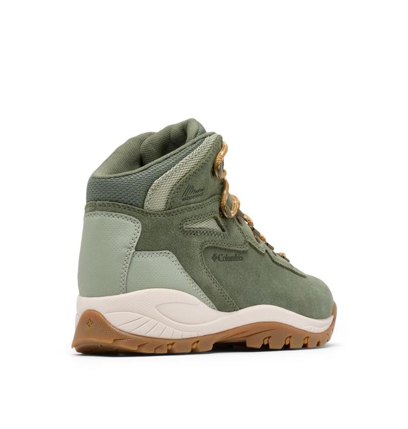 Newton Ridge Plus Waterproof Amped - Womens - cypress / safari 1