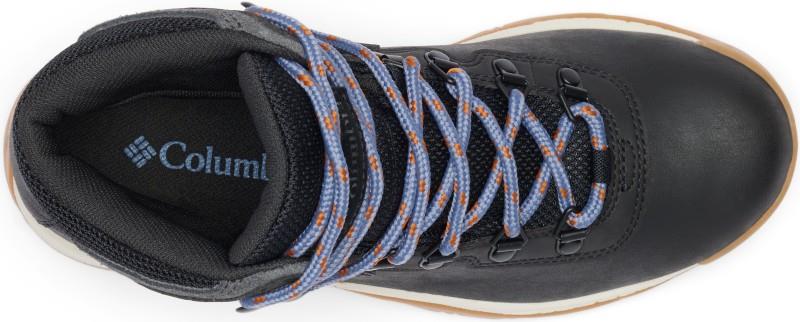 Newton Ridge Plus - Womens - quarry / cool wave 1