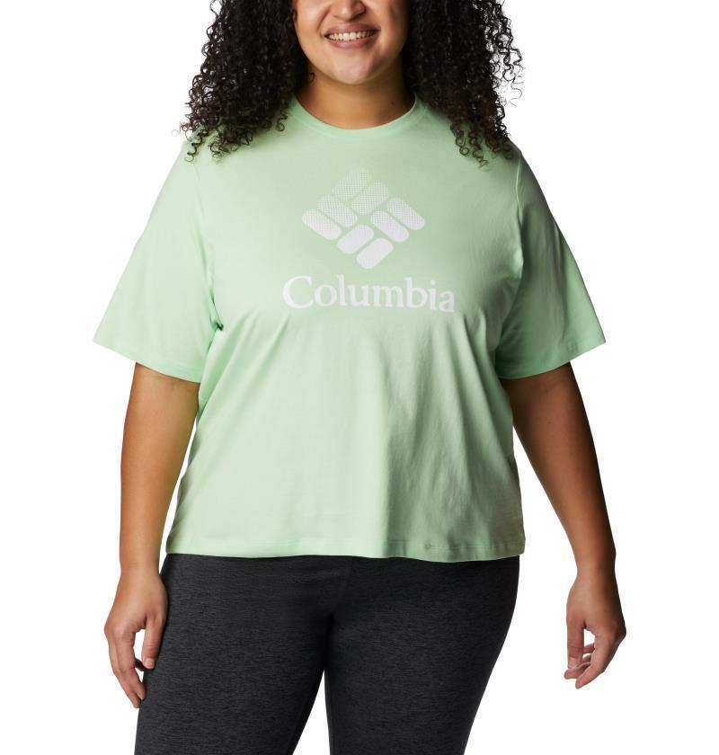 North Cascades Relaxed Tee, Extended - Womens - Key West / CSC Stacked Gradient Graphic 1