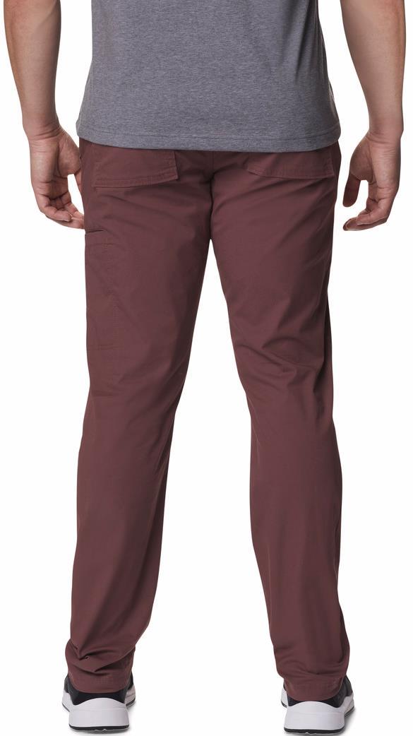 Pine Canyon Pants, 30" Inseam - Mens - Light Raisin 2