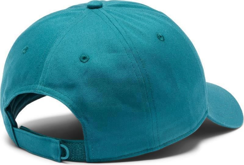 Provisions Ball Cap - river blue / mountain landscape 1