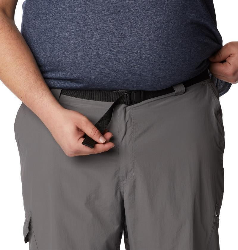 Silver Ridge Cargo Pants, 30" Inseam - Big - Mens - city grey 1