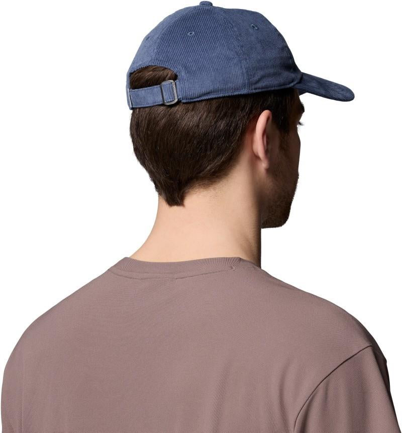 Wellzy Ball Cap - dark mountain / columbia script 1