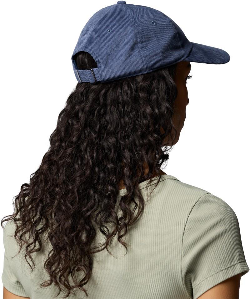 Wellzy Ball Cap - dark mountain / columbia script 1