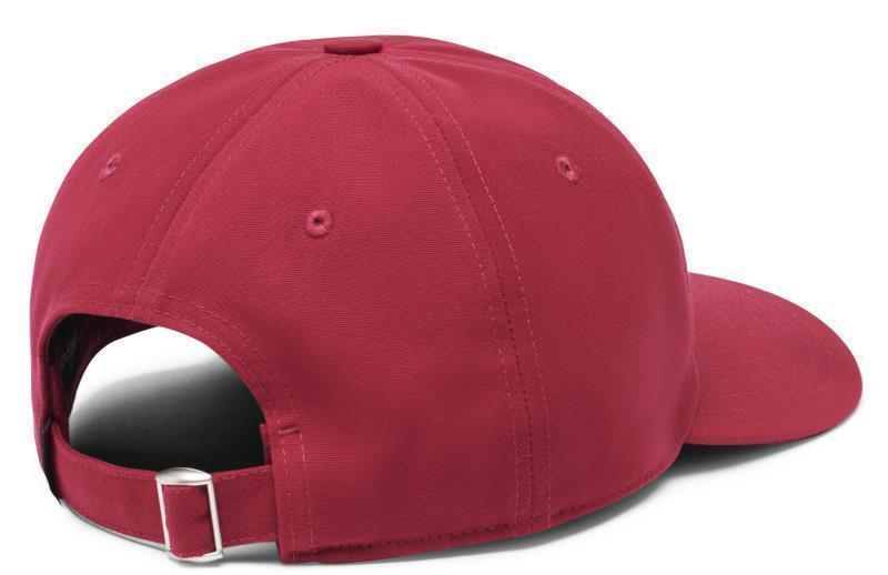 Cotopaxi Dad Hat - Raspberry 2