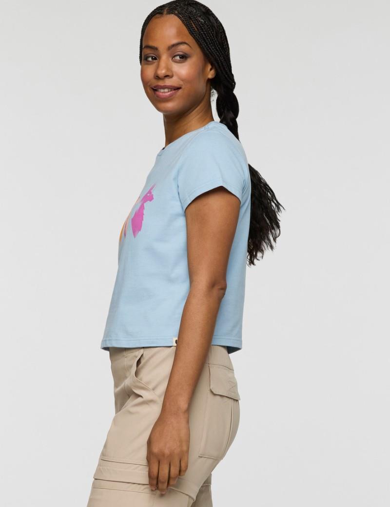 Cuatro Bitmap T-Shirt - Womens - iceberg 1