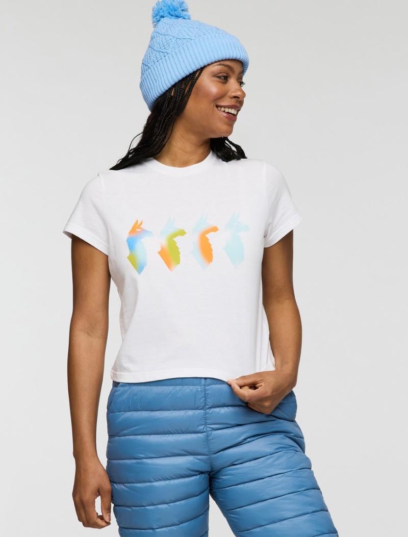 Cuatro Bitmap T-Shirt - Womens - white 1