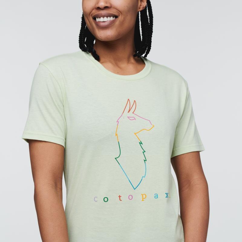 Electric Llama T-Shirt - Womens - Lichen 2