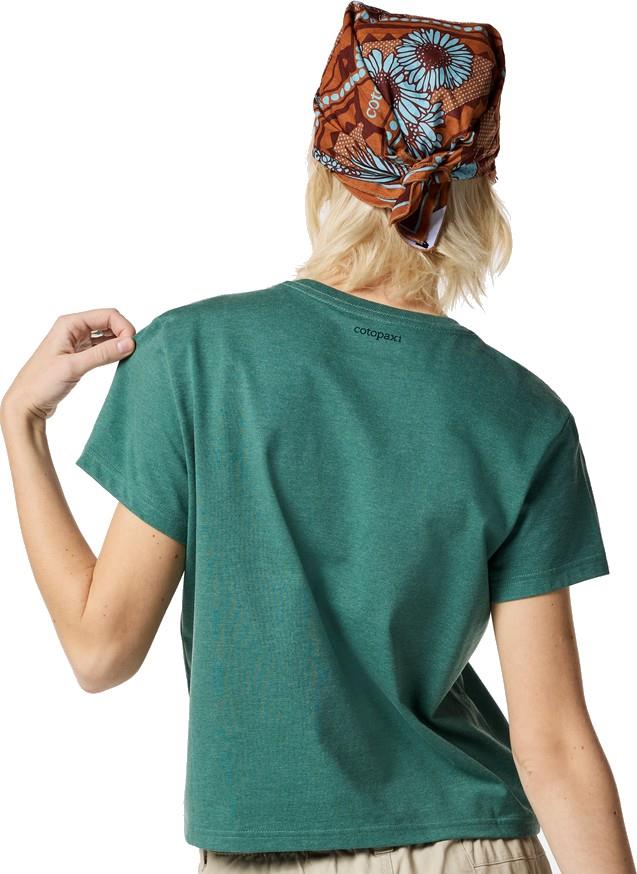 Llama Icon T-Shirt - Womens - juniper 1