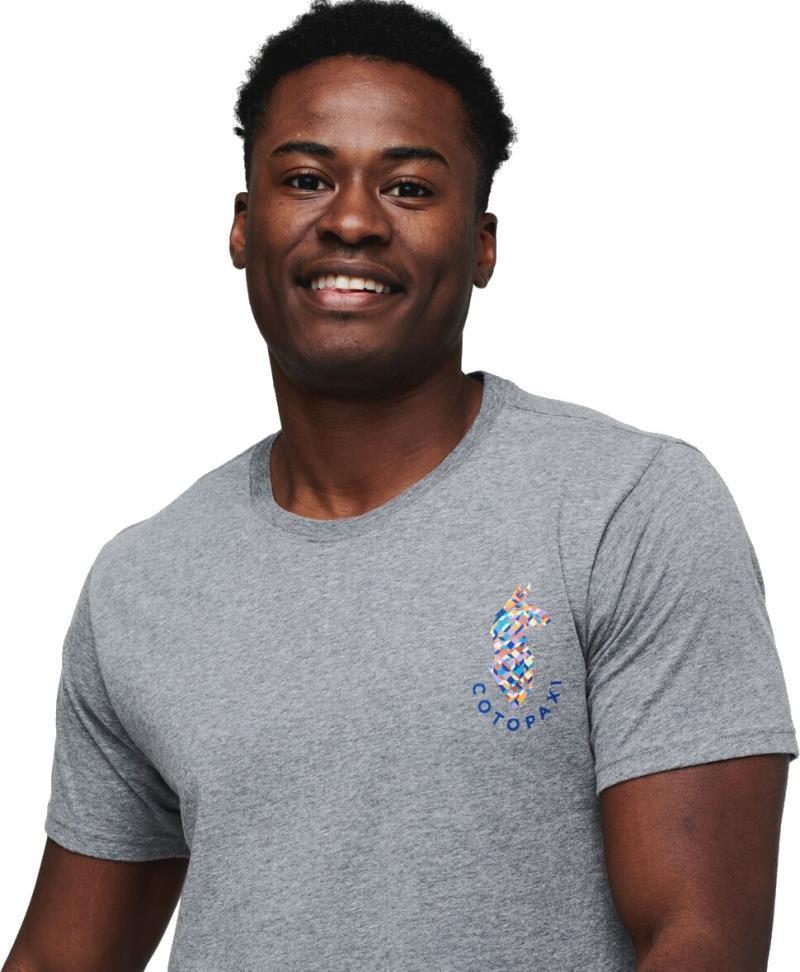 Llama Lover T-Shirt - Mens - Heather Grey 2